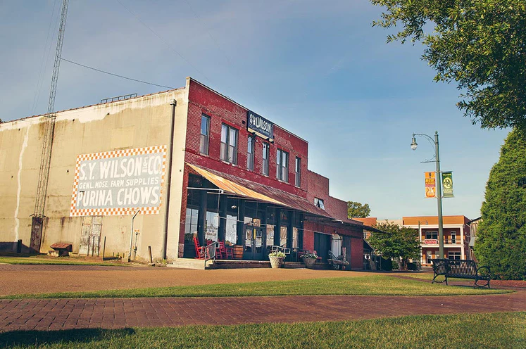 S.Y. Wilson Gift Card