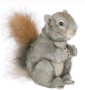Peanut the Squirrel