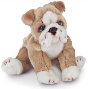 Tug the Bulldog