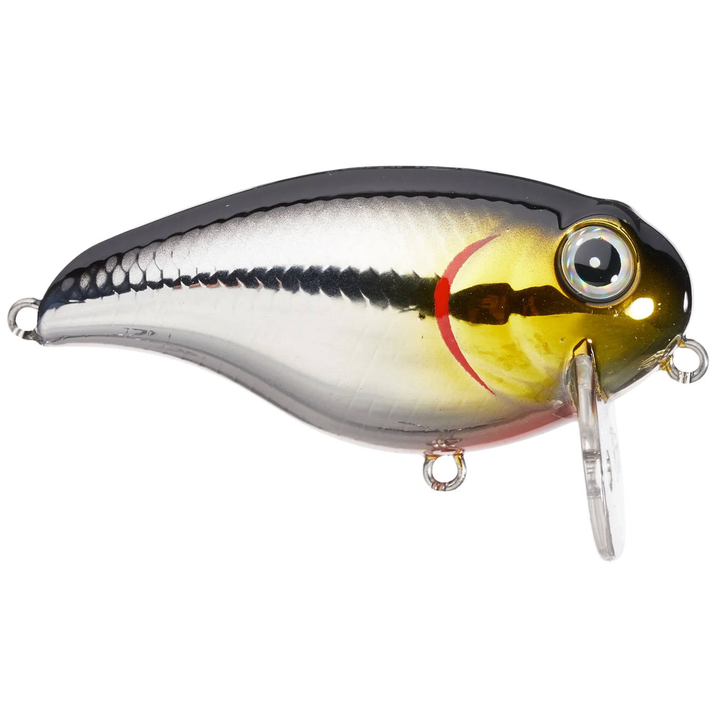 Azuma Wake Z