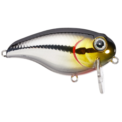 Azuma Wake Z