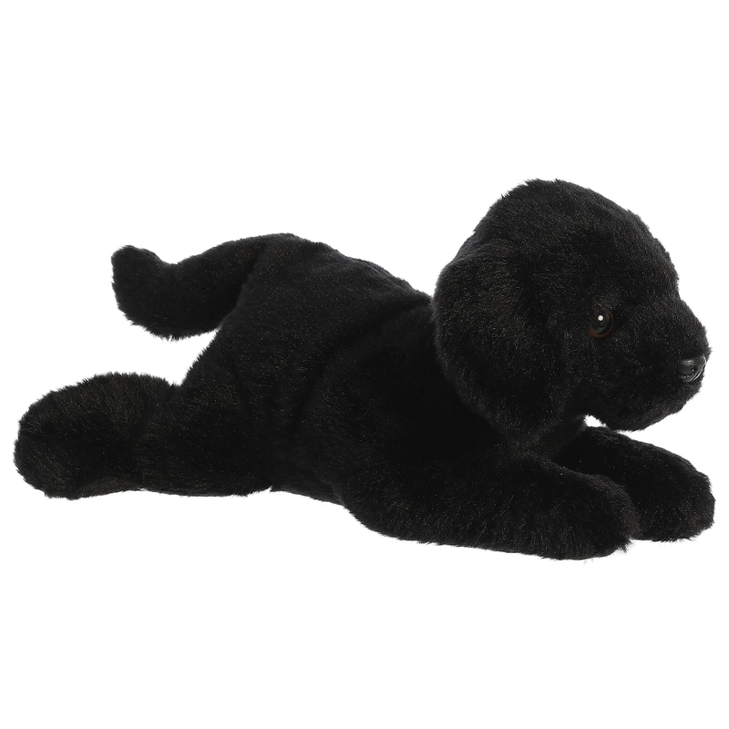 12" Black Labrador